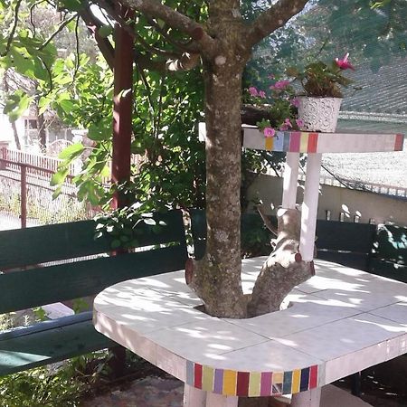 Eleni Tivat Exterior foto